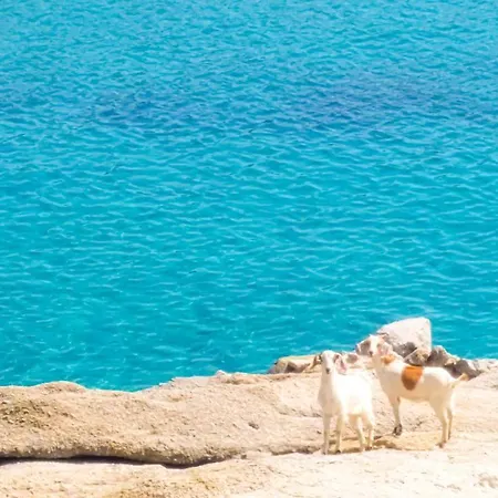 Holiday home Sunny Getaway In Lia Mykonos
